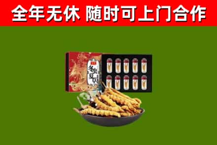 临沧回收冬虫夏草价格